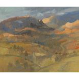 GARETH PARRY oil on canvas - Welsh mountain landscape, entitled verso 'Dusk, Cymru', signed, 49 x