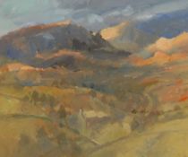 GARETH PARRY oil on canvas - Welsh mountain landscape, entitled verso 'Dusk, Cymru', signed, 49 x