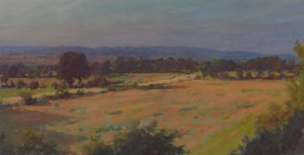 DAVID WOODFORD oil - Welsh landscape, signed and entitled label verso 'Summer Near Llangefni', 15.