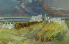 RAY HOWARD JONES mixed media - coastal landscape on the Island of Skokholm, near Skomer off