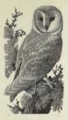 CHARLES FREDERICK TUNNICLIFFE limited edition (23/60) woodcut - barn owl perched on a tree, signed