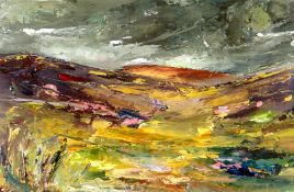 BETH ROBINSON oil - West Wales landscape in stormy weather, entitled verso 'Preseli, November