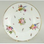 NANTGARW PORCELAIN PLATE painted with sprays of colourful flowers and insects, gilt dentil rim,