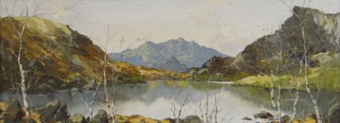 CHARLES WYATT WARREN oil on board - Eryri with lake, entitled verso 'Snowdon from Nantlle',