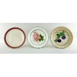 THREE NINETEENTH CENTURY WELSH POTTERY PLATES comprising a Llanelly wild rose painted plate, 22cms