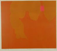 ERIC MALTHOUSE limited edition (12/25) screenprint - abstract in orange and pink, entitled verso '