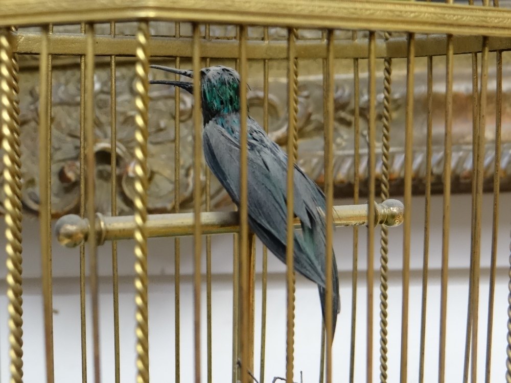 A SINGING BIRD AUTOMATON, FRENCH EARLY 20TH CENTURY green feathered hummingbird type with beak, head - Image 4 of 12