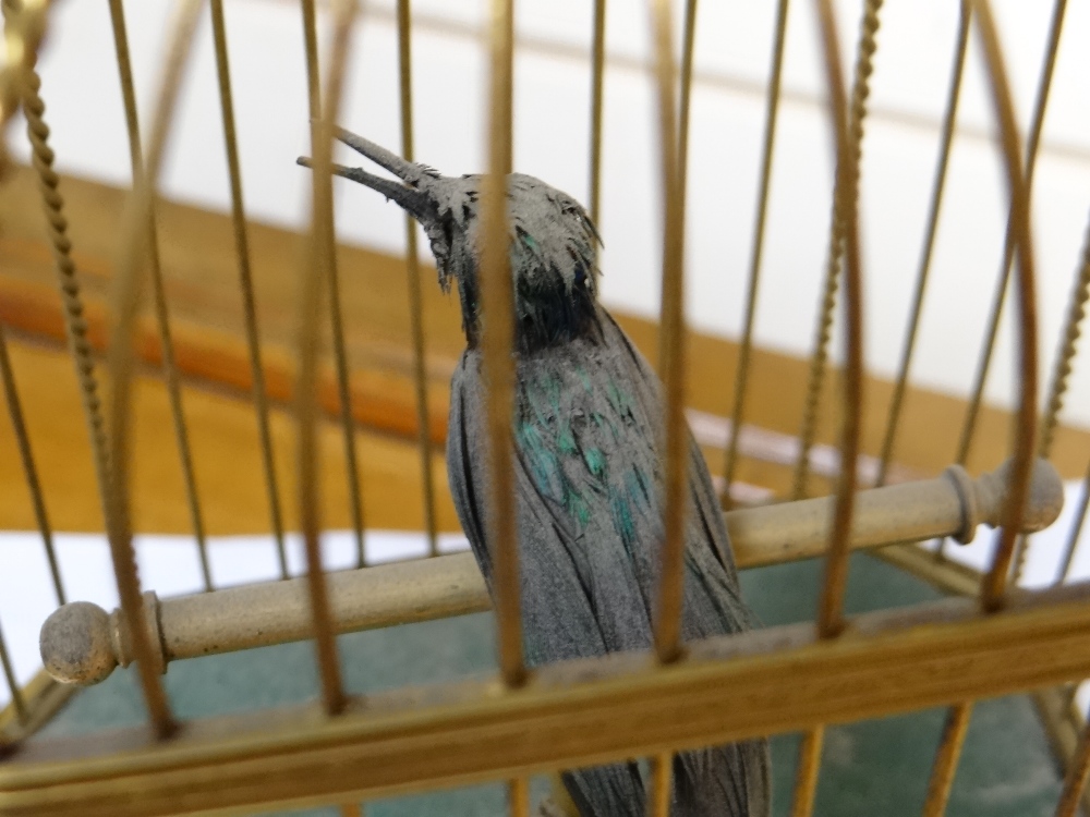 A SINGING BIRD AUTOMATON, FRENCH EARLY 20TH CENTURY green feathered hummingbird type with beak, head - Image 5 of 12