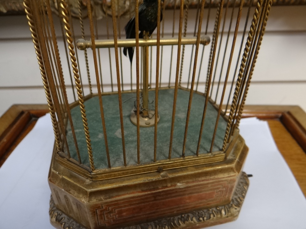 A SINGING BIRD AUTOMATON, FRENCH EARLY 20TH CENTURY green feathered hummingbird type with beak, head - Image 7 of 12