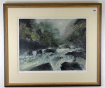 WILLIAM SELWYN colour limited edition (19/300) print - river landscape, 39 x 51cms