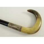EARLY 20TH CENTURY SILVER MOUNTED RAM'S HORN WALKING CANE, silver collar engraved and dated 1935,