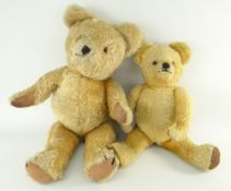 TWO VINTAGE GOLDEN PLUSH TEDDY BEARS, each with growlers or music boxes, largest 60cms, smallest