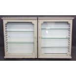 EDWARDIAN MAHOGANY CHEMIST'S CABINETS, a pair, single glazed doors with adjustable interior glass