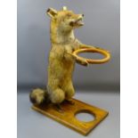 TAXIDERMY - Red Fox stick stand, 77cms H