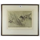 HENRY WILKINSON limited edition (42/75) drypoint etching with colour - gundog confronting grouse,