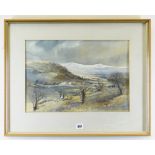 G. GLYN DAVIES watercolour - Cambrian Mountains from Strata Florida (Ystradfflur), signed and