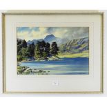 WINSTON MEGORAM watercolour - Eryri landscape on a bright day, entitled verso on Warwick Fine Arts