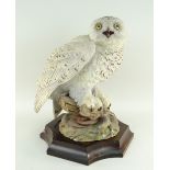 AYNSLEY PORCELAIN 'GREAT SNOWY OWL' limited edition (134/250) figure, modelled by Fred Wright, circa