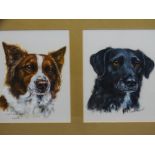 P T (TRISH) EVERS-SWINDELL oil on canvas - dog portraits in a double mount, 21.5 x 17cms each