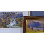 JOHN CUTHBERT SALMON two watercolours - 1. North Wales waterfall with trees, signed, 23 x 32cms