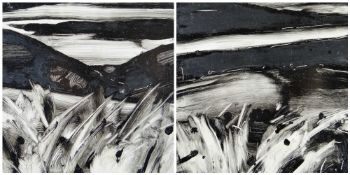 JAMES CHARLTON oils and glass on board, a pair - wild black and white landscape scenes, signed and