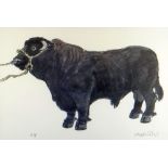 SIR KYFFIN WILLIAMS RA artist's proof print - Welsh Black standing bull, signed in full, 39 x