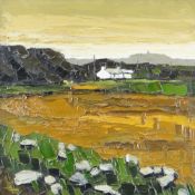 WILF ROBERTS oil on canvas - Ynys Mon landscape, entitled verso 'Gors Arian', signed and dated 2003,