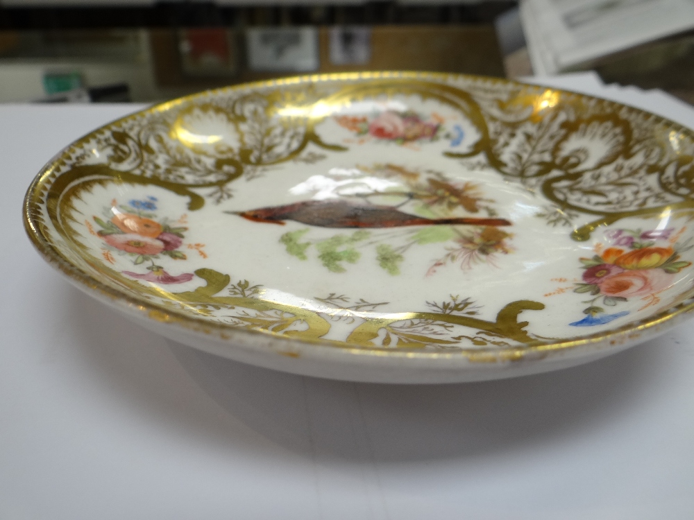 A NANTGARW PORCELAIN CUP & SAUCER FROM THE MACKINTOSH SERVICE decorated richly in gilding with - Image 12 of 25