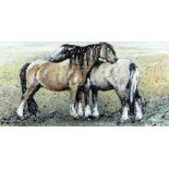 CARYS BRYN oil on canvas - two standing ponies, entitled verso 'I'll Scratch Your Back if You