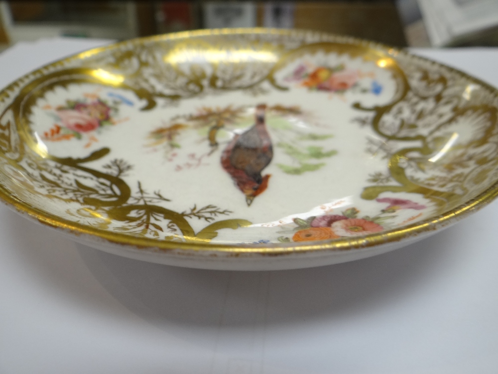 A NANTGARW PORCELAIN CUP & SAUCER FROM THE MACKINTOSH SERVICE decorated richly in gilding with - Image 11 of 25