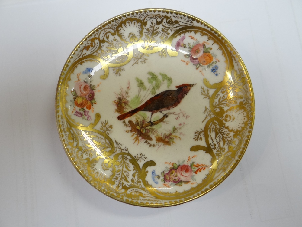 A NANTGARW PORCELAIN CUP & SAUCER FROM THE MACKINTOSH SERVICE decorated richly in gilding with - Image 15 of 25