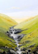 NICK JOHN REES oil on canvas - Brecon Beacons landscape with tumbling stream, entitled verso '