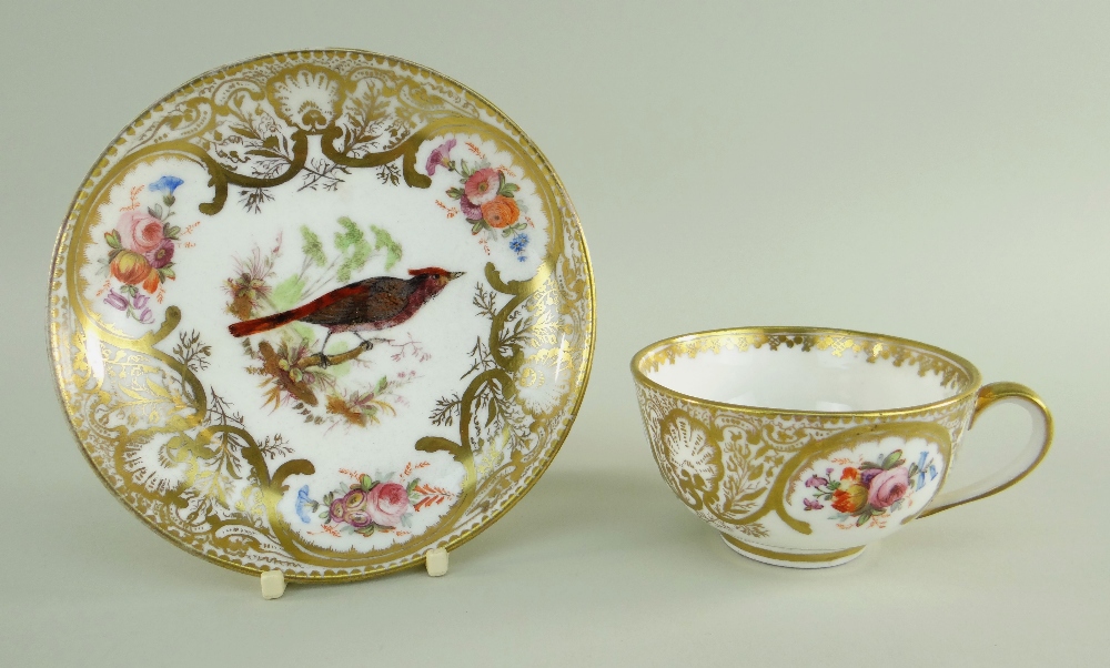 A NANTGARW PORCELAIN CUP & SAUCER FROM THE MACKINTOSH SERVICE decorated richly in gilding with - Image 2 of 25