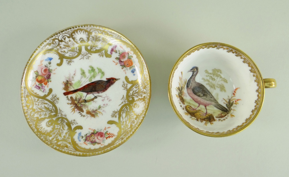 A NANTGARW PORCELAIN CUP & SAUCER FROM THE MACKINTOSH SERVICE decorated richly in gilding with