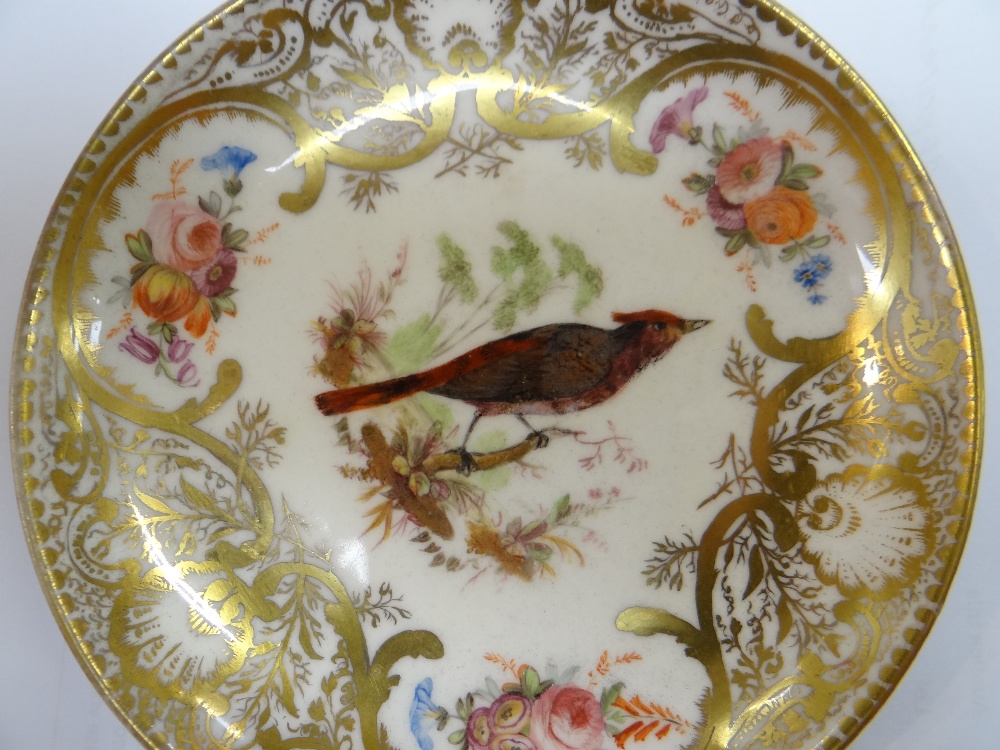 A NANTGARW PORCELAIN CUP & SAUCER FROM THE MACKINTOSH SERVICE decorated richly in gilding with - Image 9 of 25