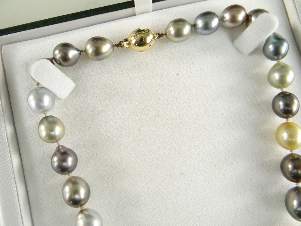 TAHITIAN SOUTH SEA PEARL NECKLACE with 18ct gold diamond set oval ball clasp, 33 mixed natural - Image 2 of 4