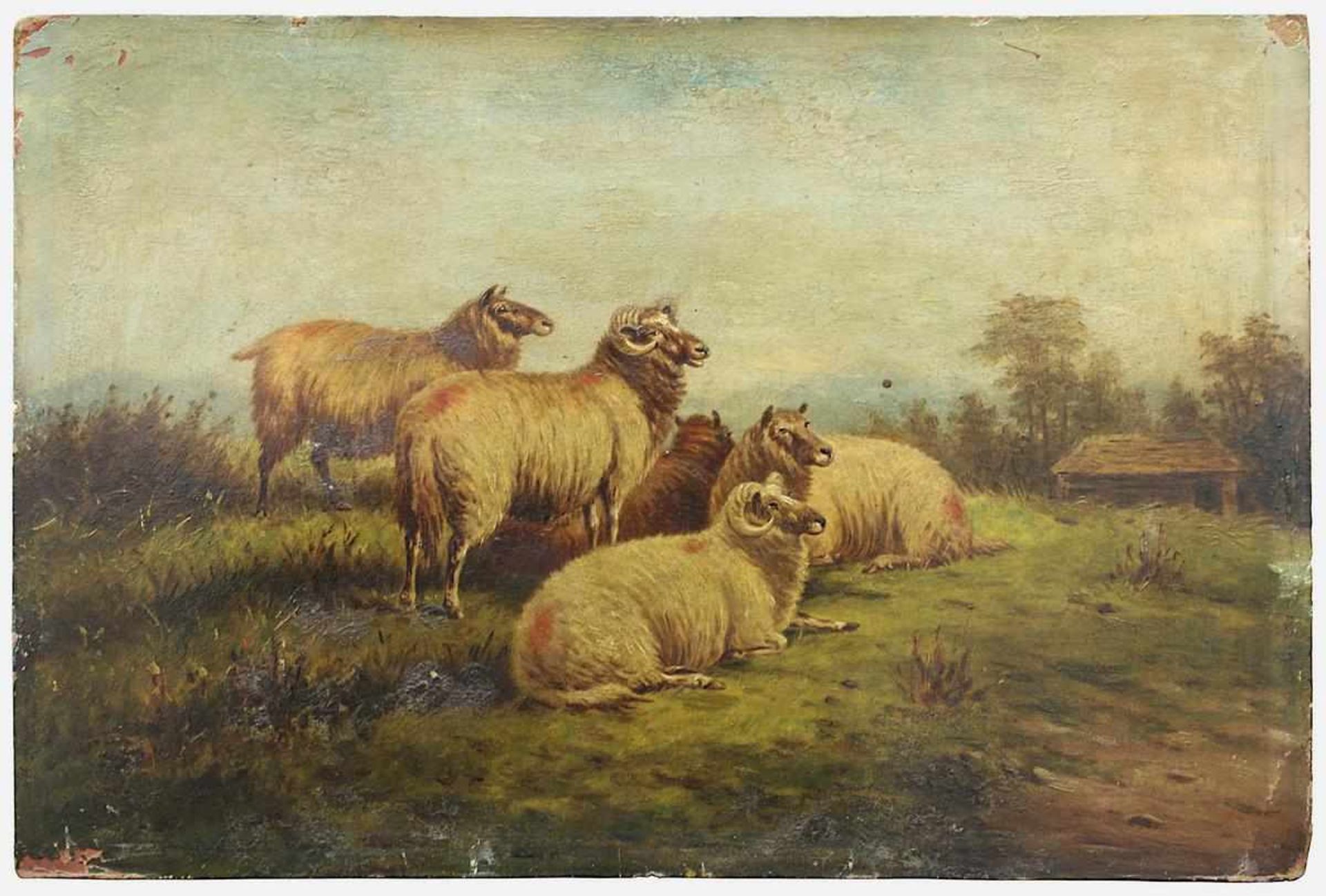Englischer Landschafts- und Tiermaler," Überraschte Schafe", 19. Jh., Öl auf Malkarton,