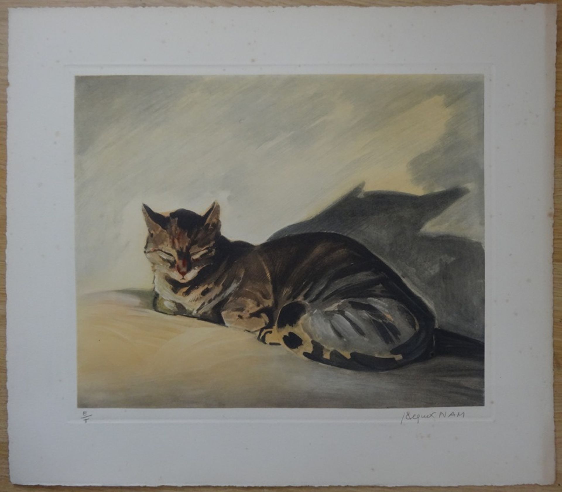 Jacques Nam (1881-1974) The Cats - Suite of 5 engravings signed in pencil Each [...] - Bild 4 aus 10
