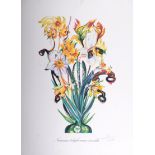 Salvador DALI Narcissus Telephonans Inondis, 1972 Original Lithograph with embossing [...]