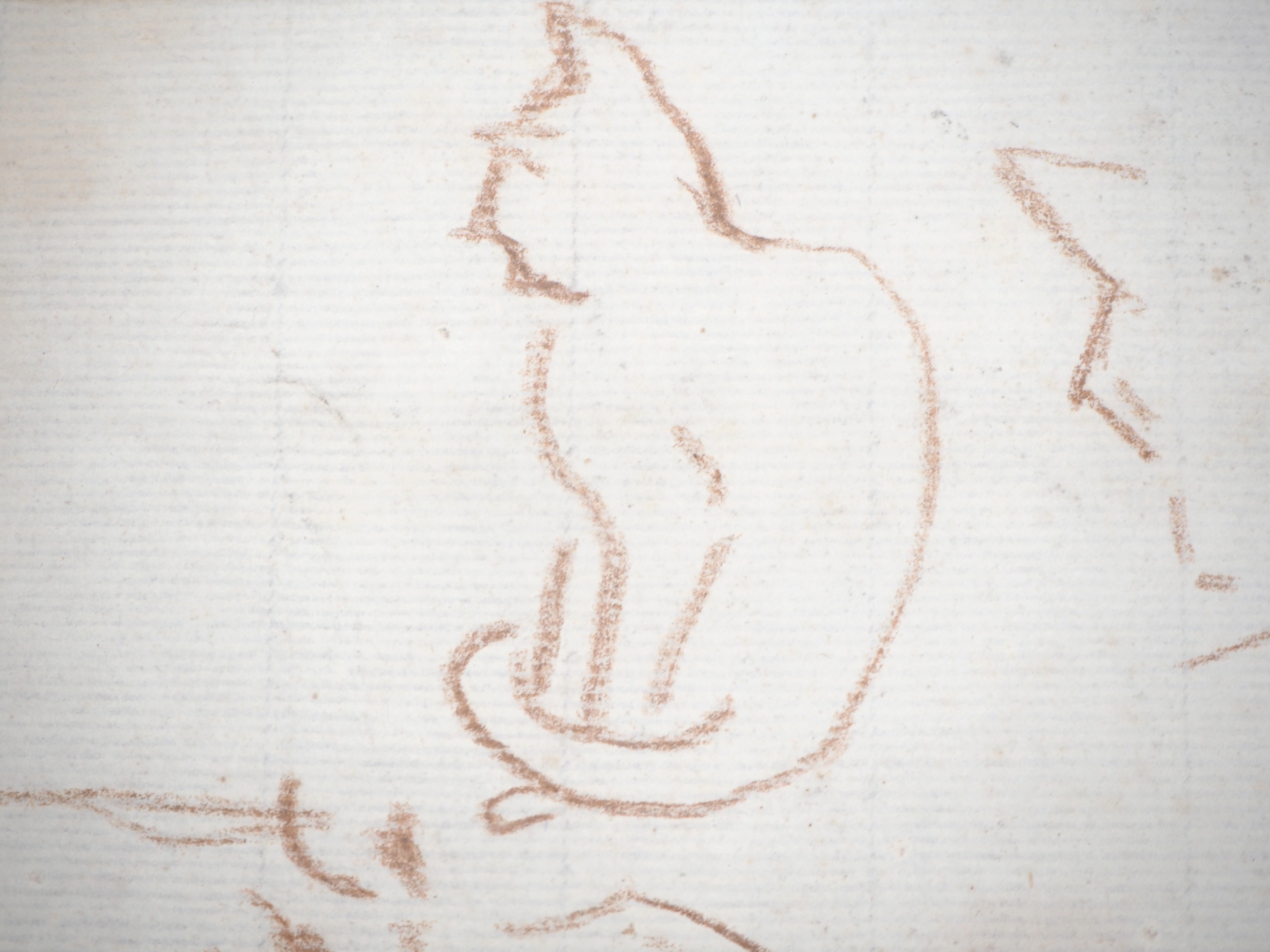 Louis VALTAT Resting Cat and Dog Sanguine Signed bottom right with the monogram [...] - Image 5 of 5