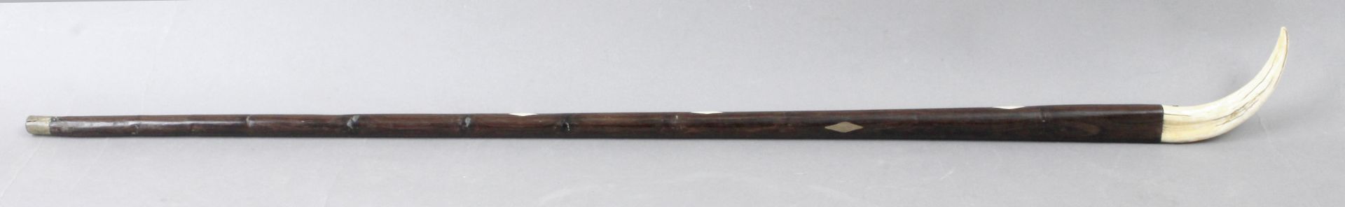 A 19th century cherry tree wood walking cane with a warthog tusk handle - Bild 2 aus 2