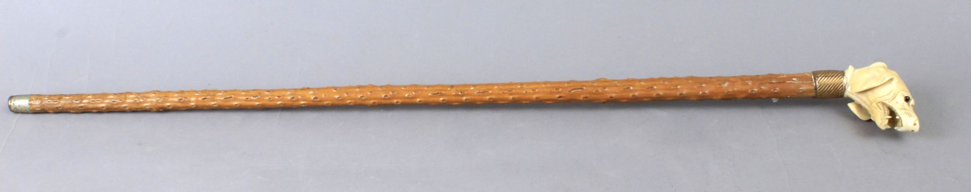 A 19th century English fruit wood walking cane with a carved ivory handle depicting a dog - Bild 3 aus 4