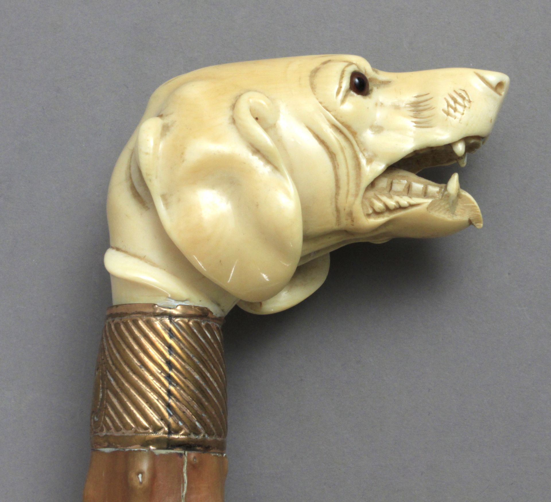 A 19th century English fruit wood walking cane with a carved ivory handle depicting a dog