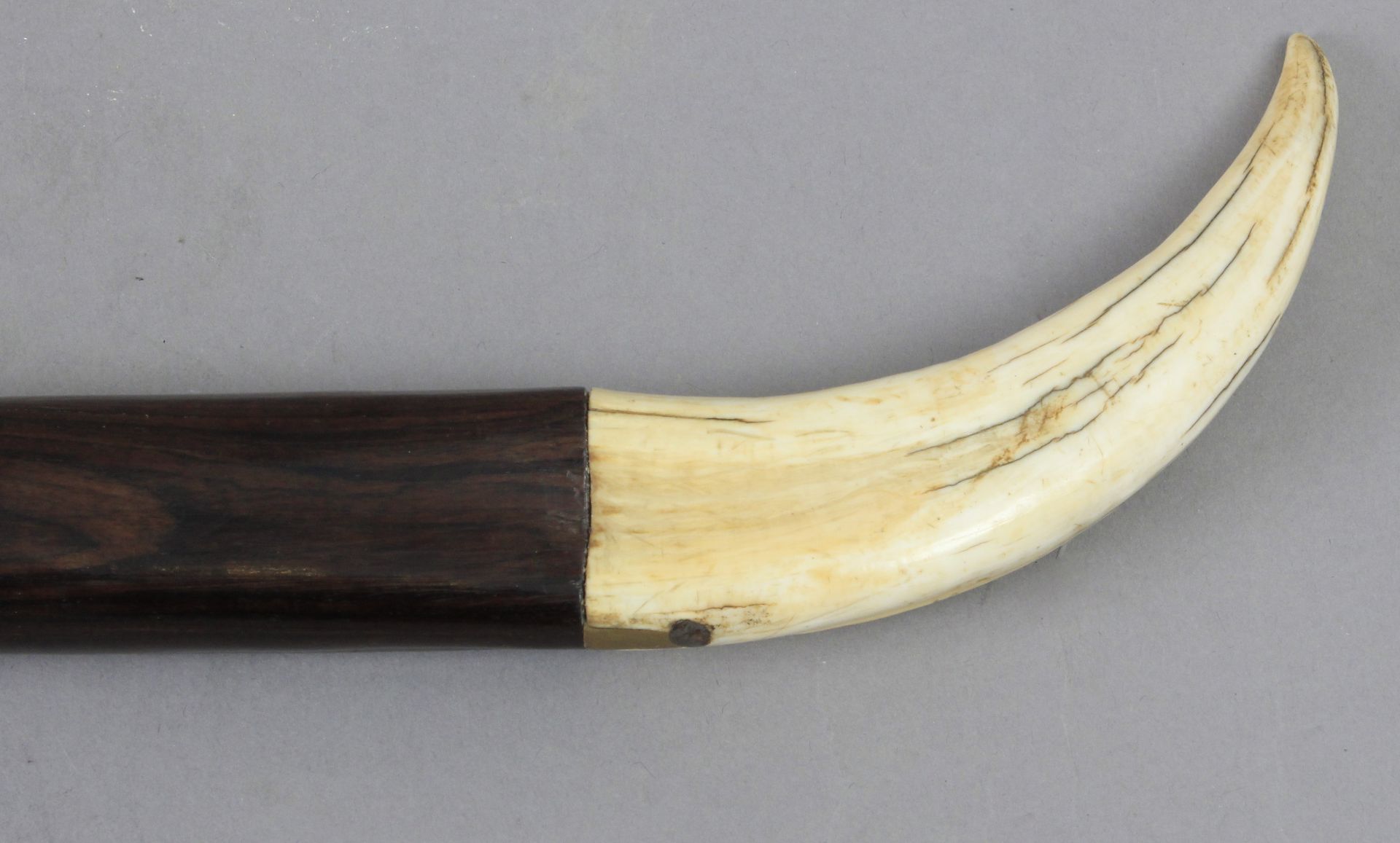 A 19th century cherry tree wood walking cane with a warthog tusk handle