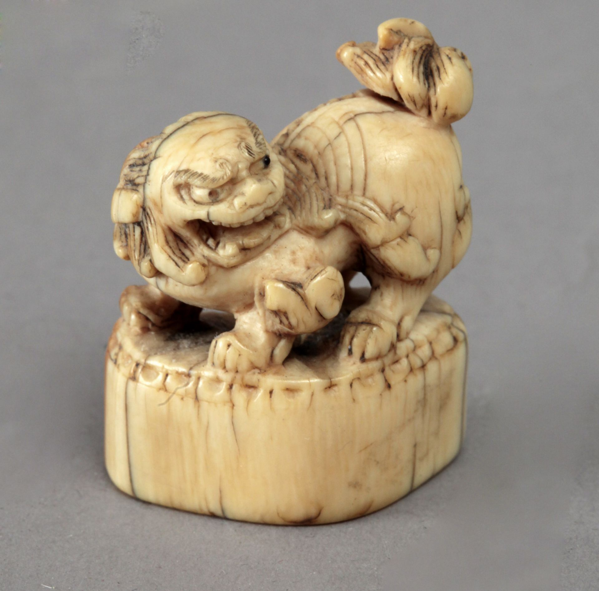 Early 18th century Japanese school. A carved ivory netsuke depicting a Shishi