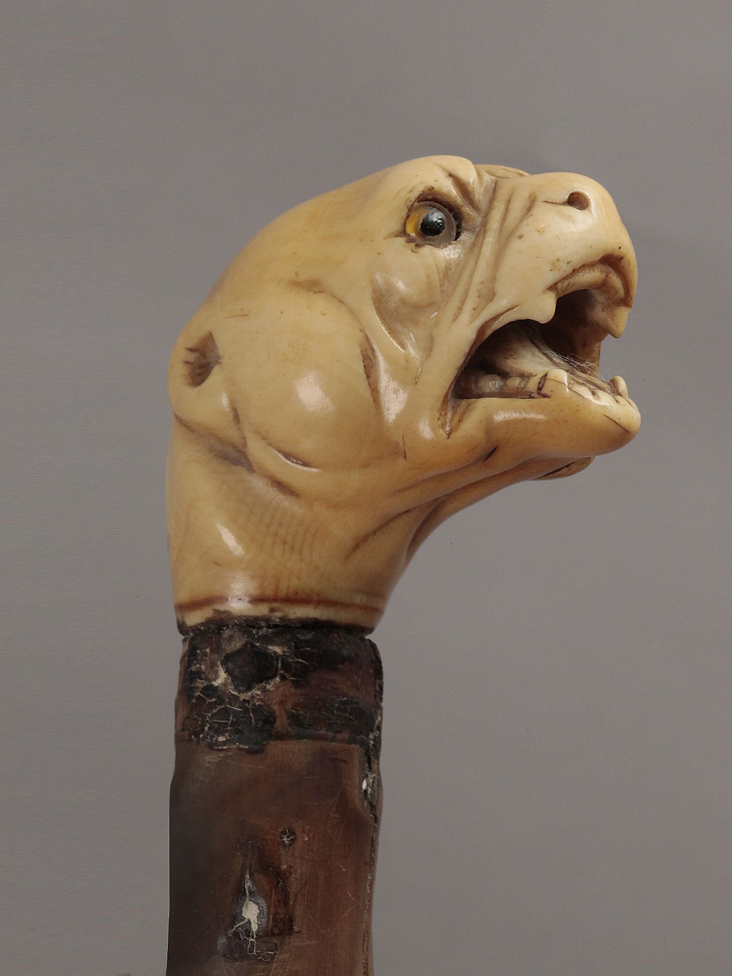 A first half of 19th century fruit tree wood and ivory walking cane