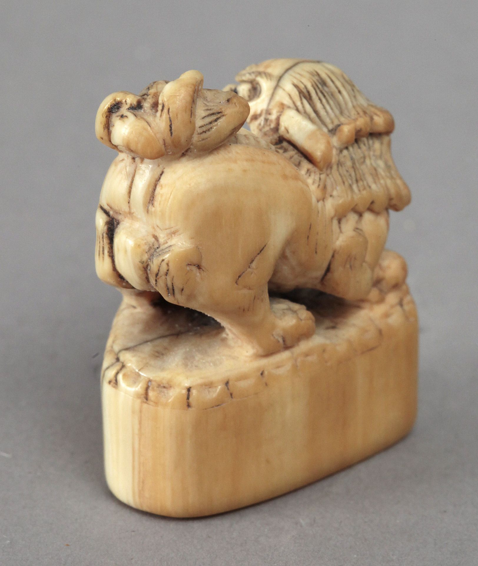 Early 18th century Japanese school. A carved ivory netsuke depicting a Shishi - Image 3 of 3
