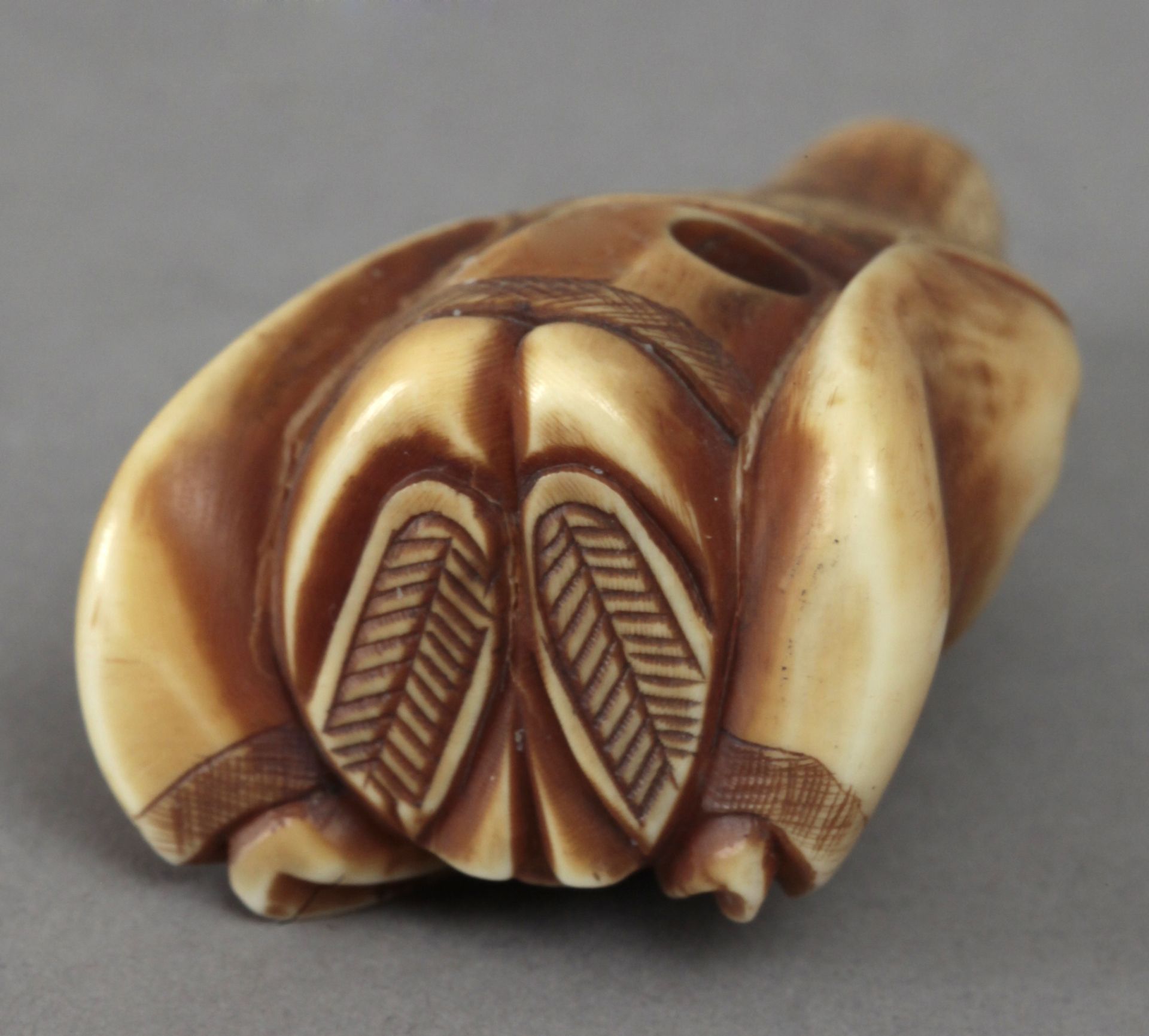 Early 19th century Japanese school. A carved ivory netsuke depicting Jurojin - Image 4 of 4