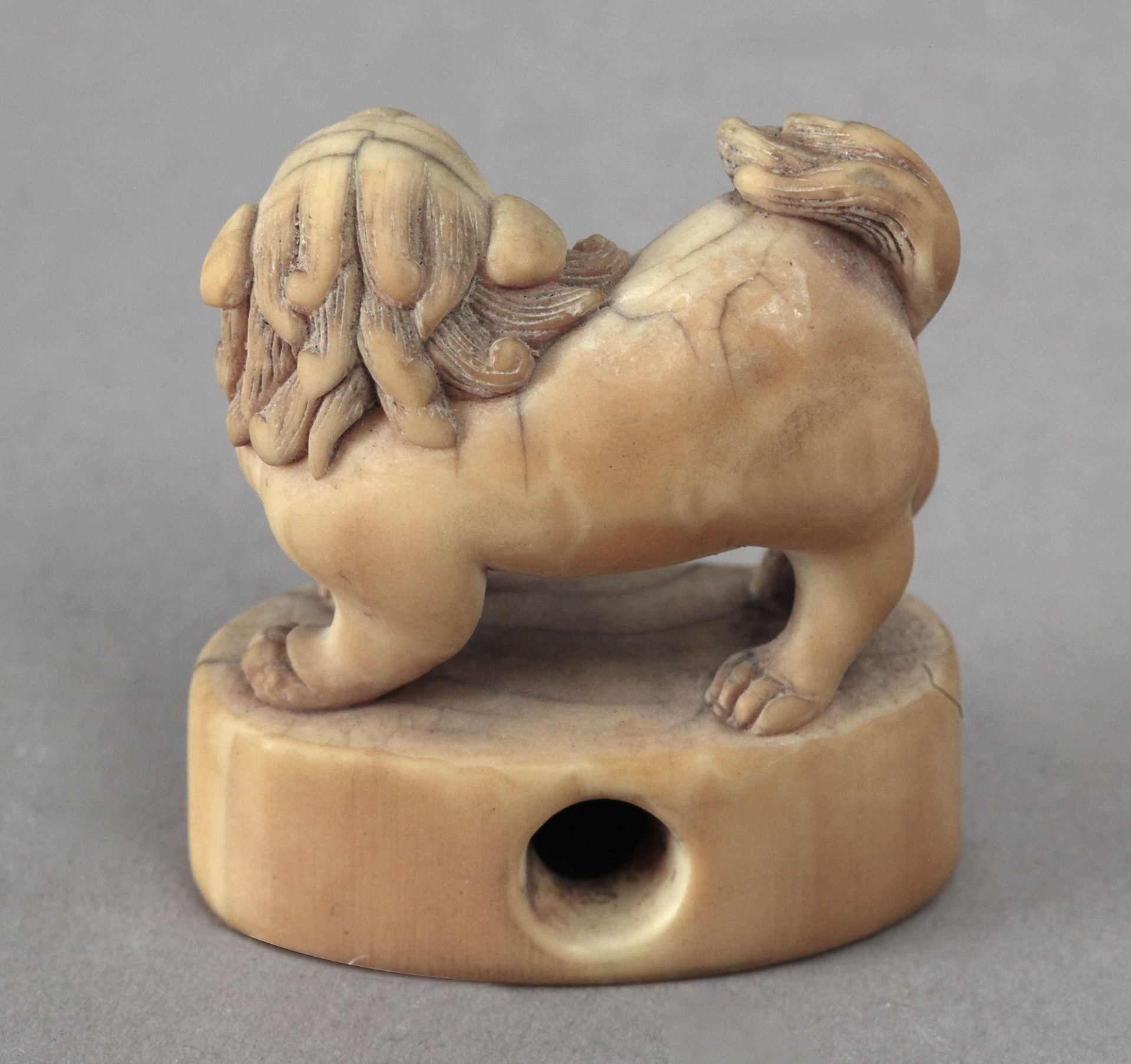 Japanese school circa 1700. A carved ivory netsuke depicting a Shishi - Image 2 of 2