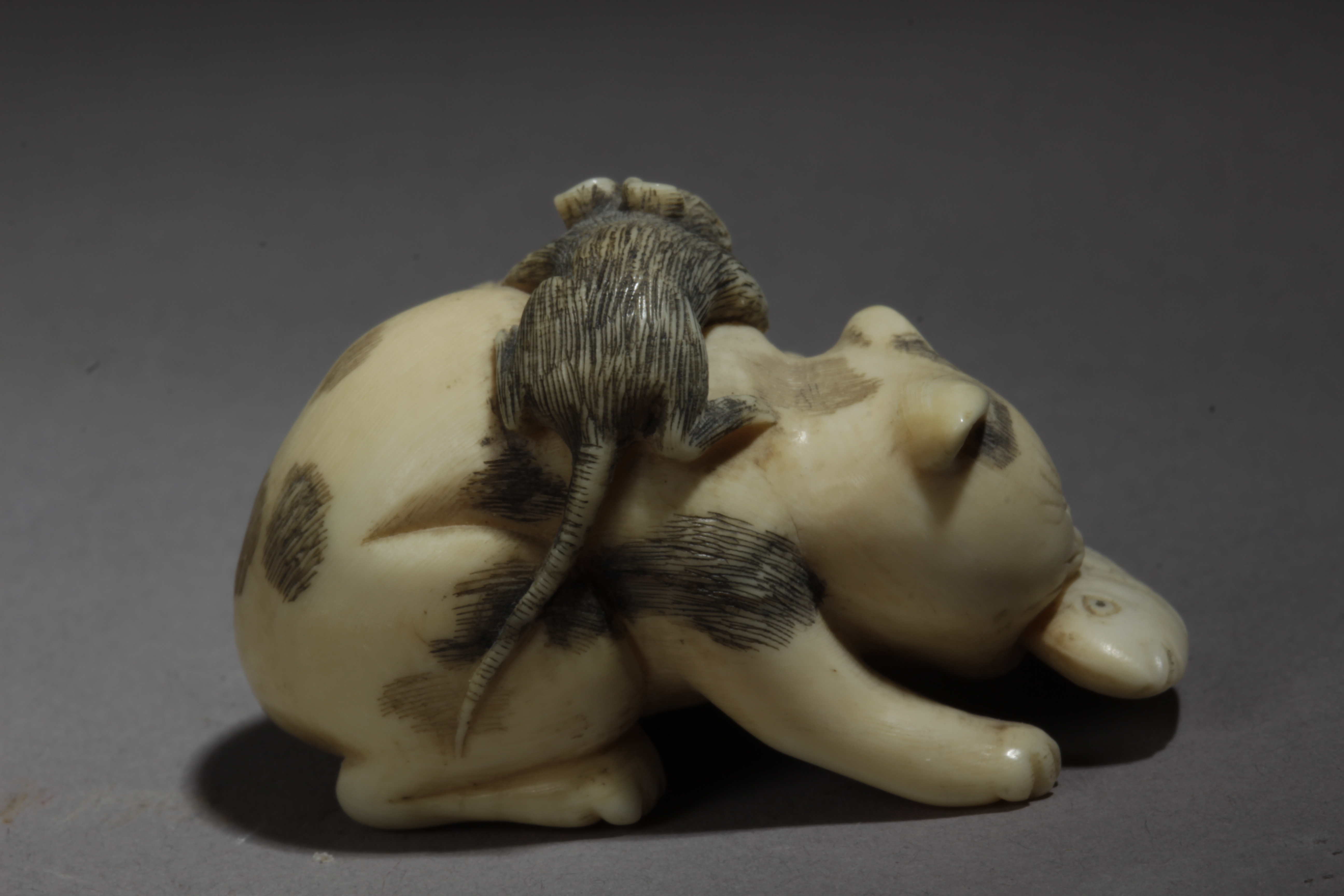 A Japanese netsuke circa 1900-1930. Signed Munetami - Image 4 of 8